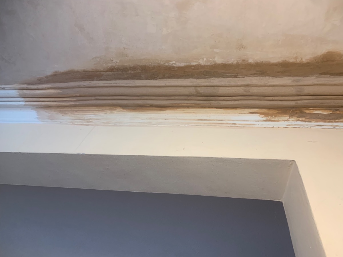 Painter and Decorator: Image 2