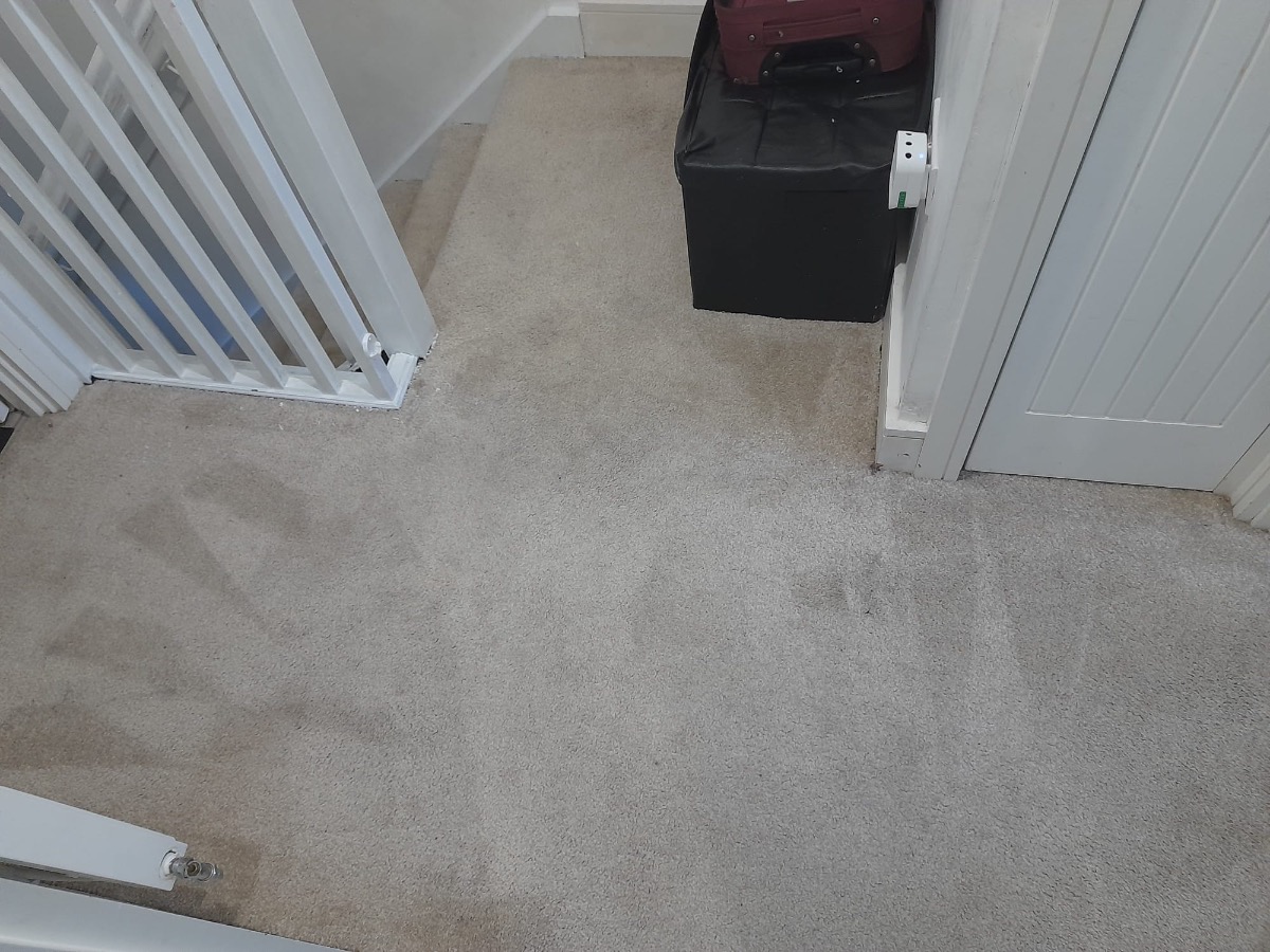 Cleaner: Image 2