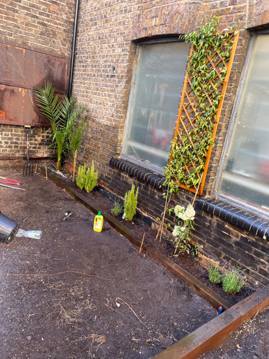 Gardener: Image 2