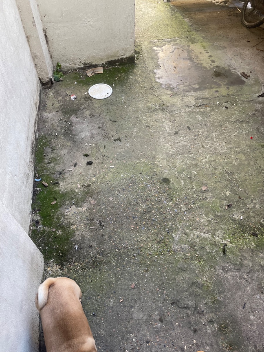 Gardener: Image 15