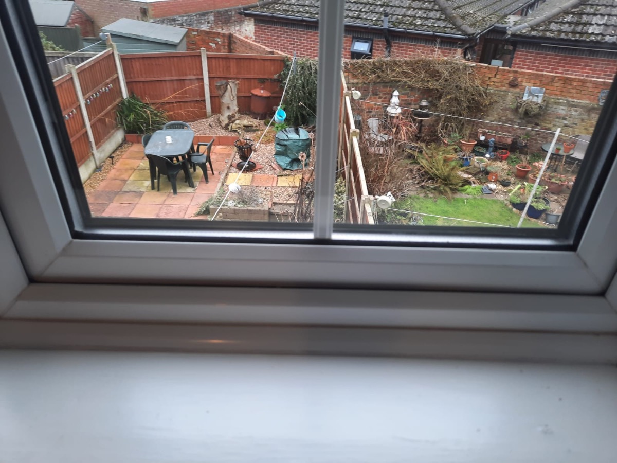 Company: Image 34