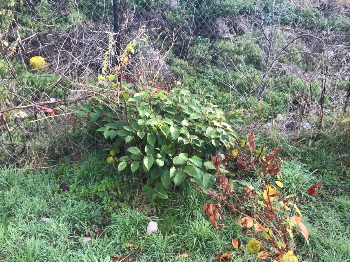 Gardener: Image 2