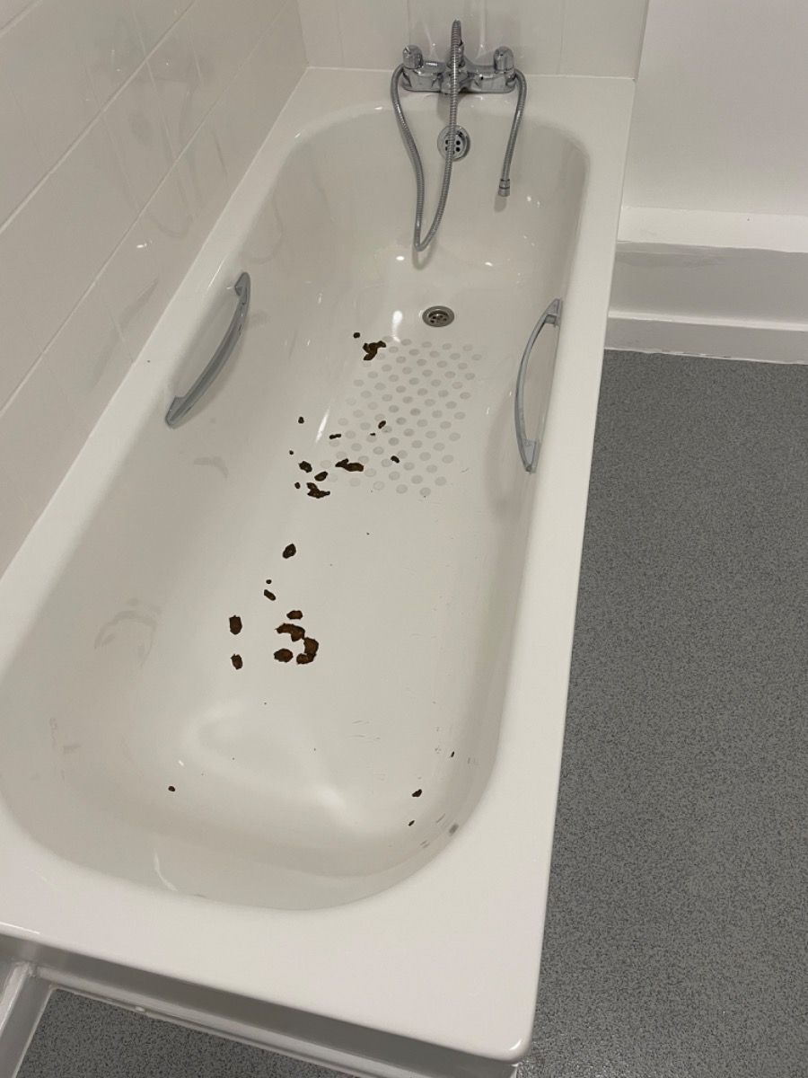 Plumber: Image 46