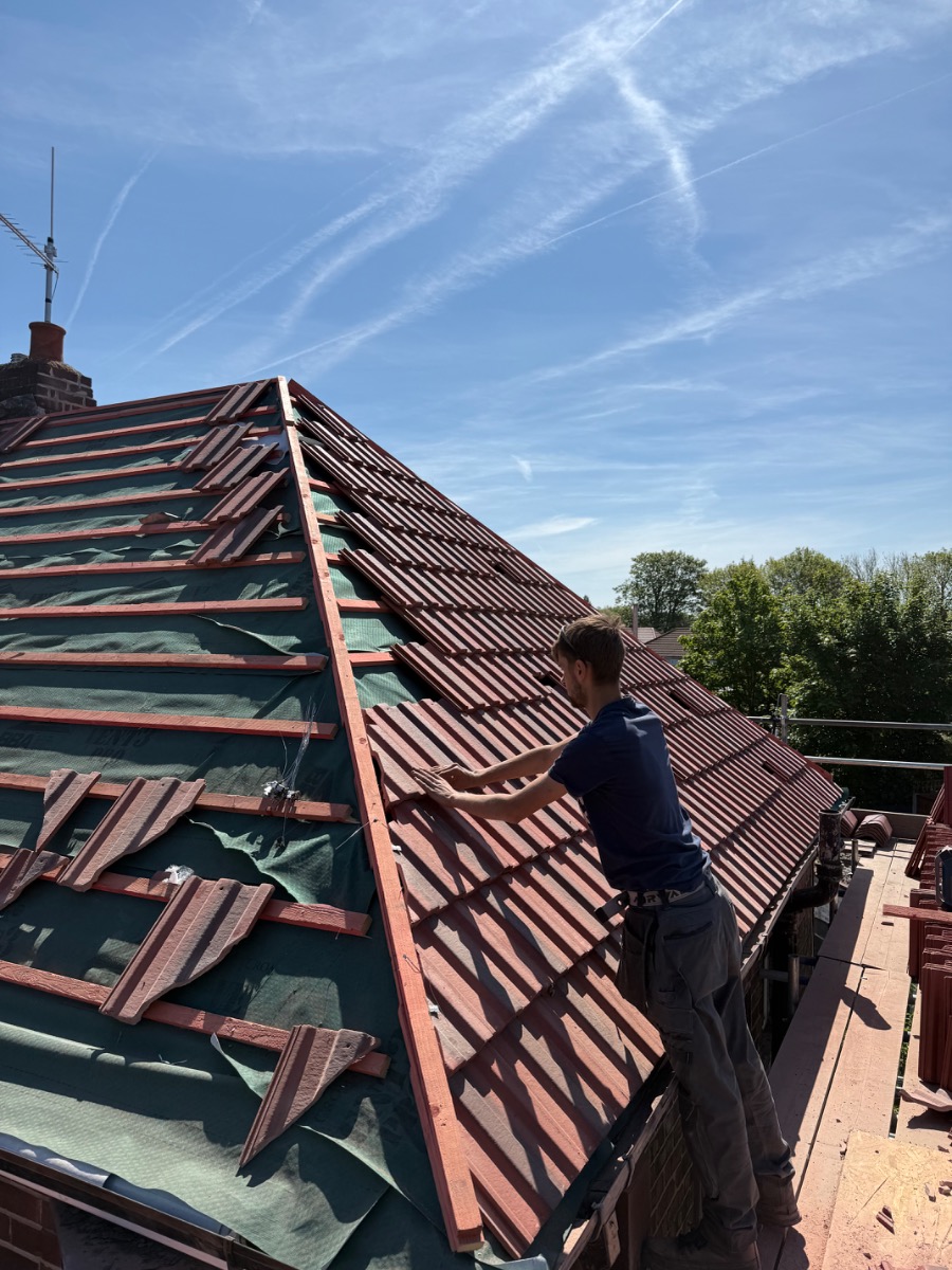 Profile: Image 2