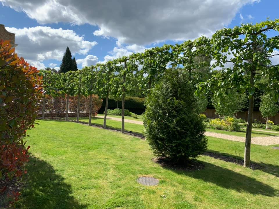 Gardener: Image 1