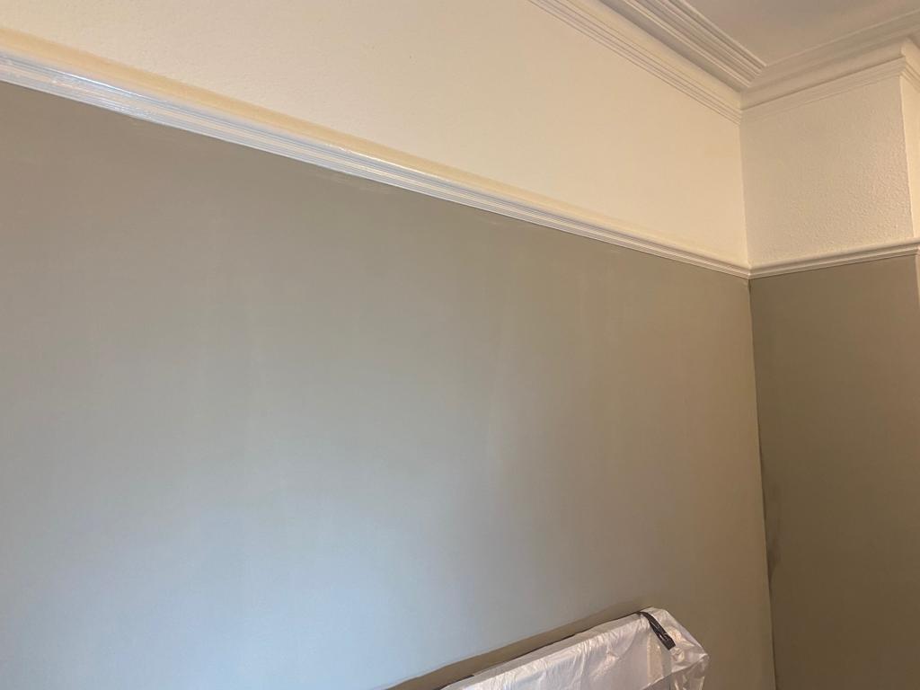 Painter and Decorator: Image 6