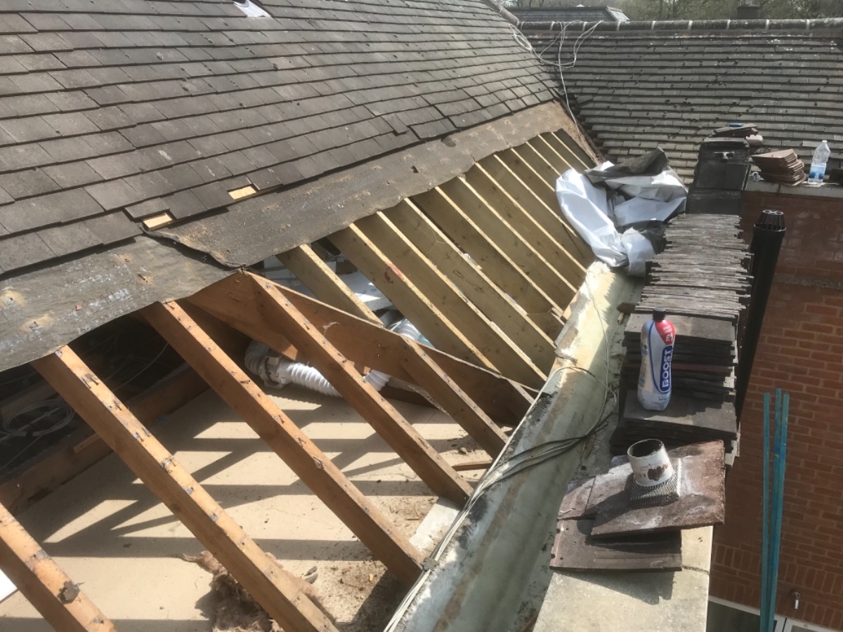 Builder: Image 2