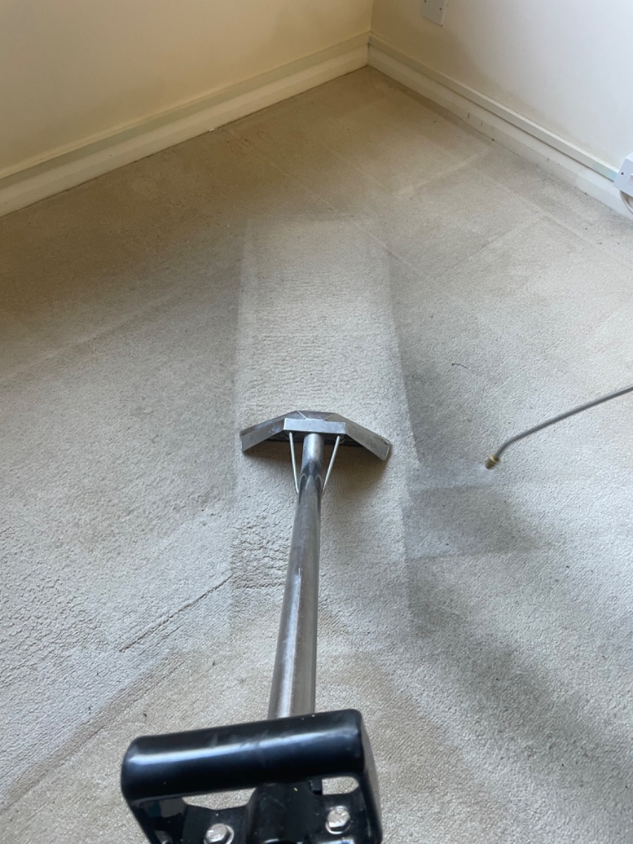 Cleaner: Image 1