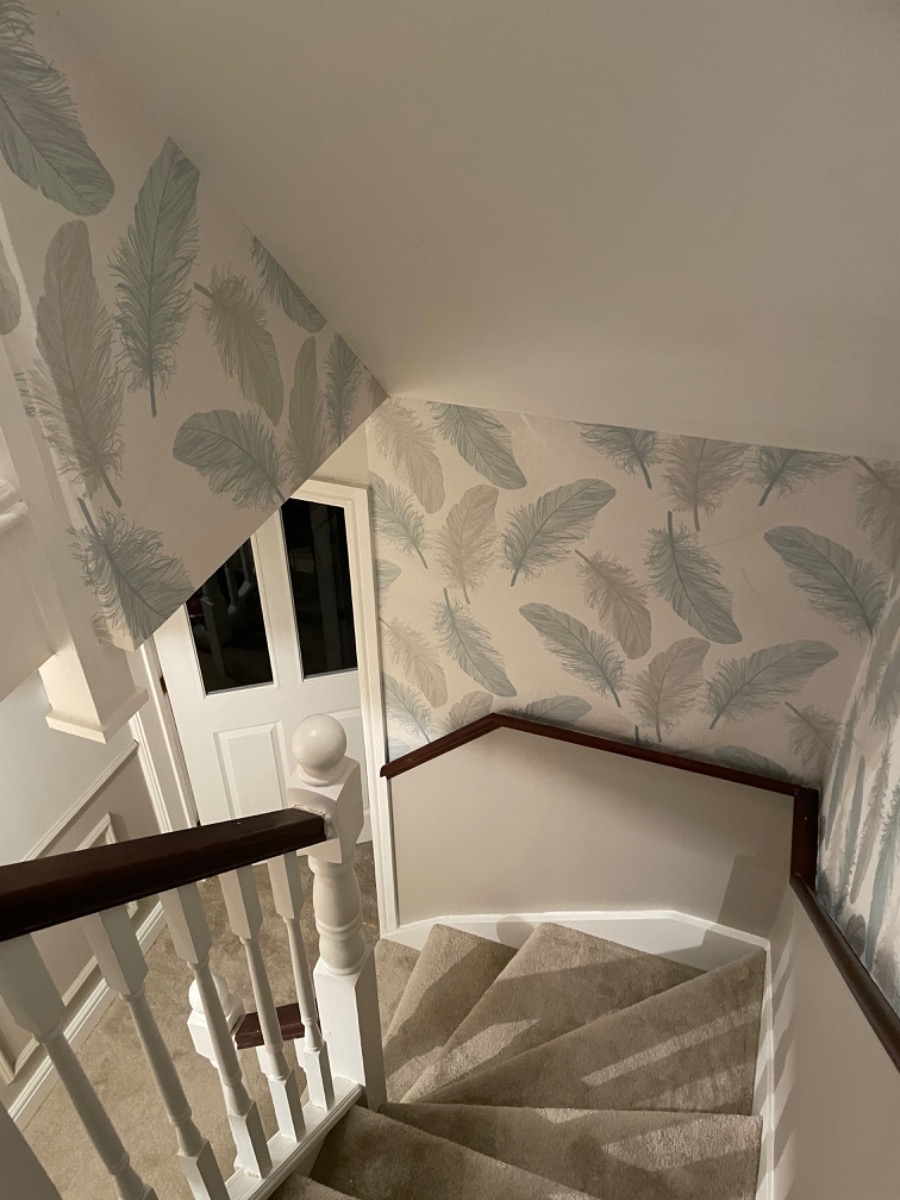 Painter and Decorator: Image 13
