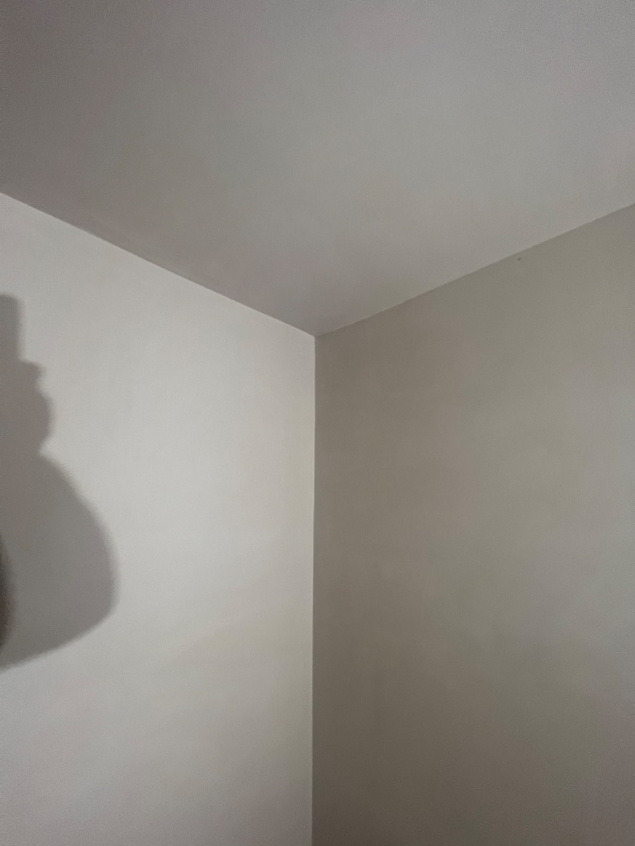 Plasterer: Image 78