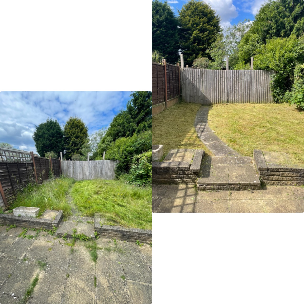 Gardener: Image 5