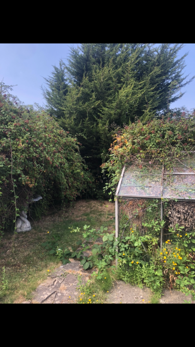 Profile: Image 5