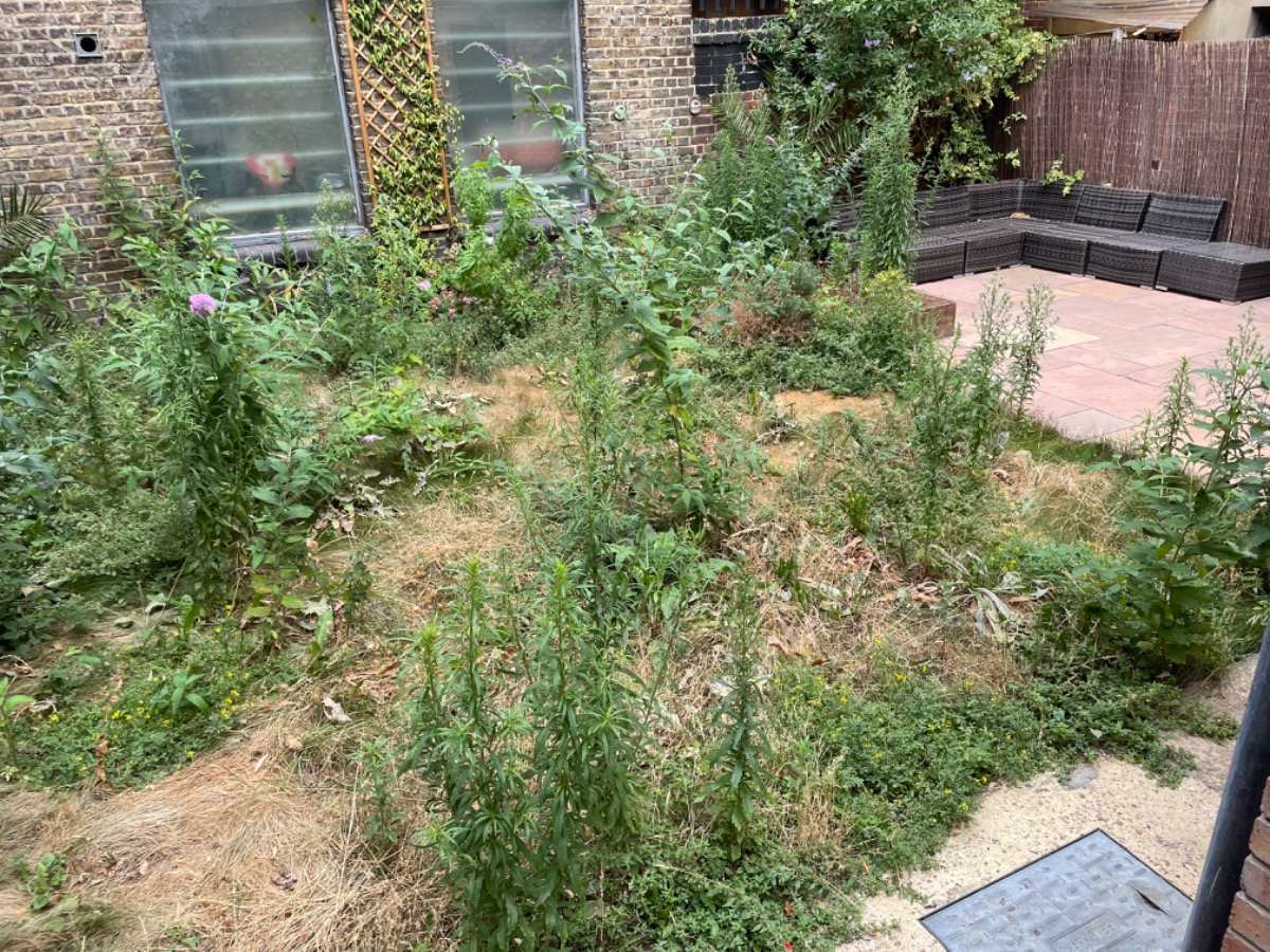 Gardener: Image 13