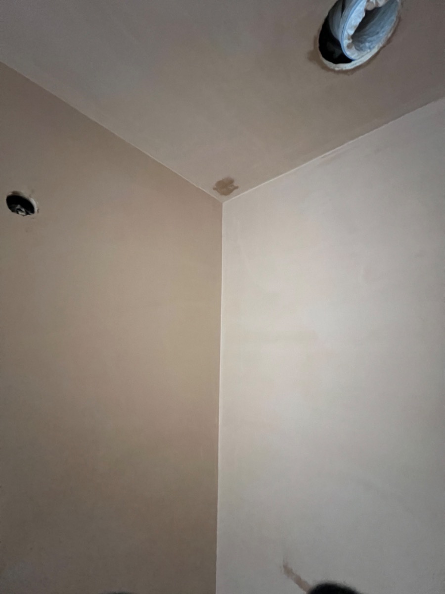 Plasterer: Image 1