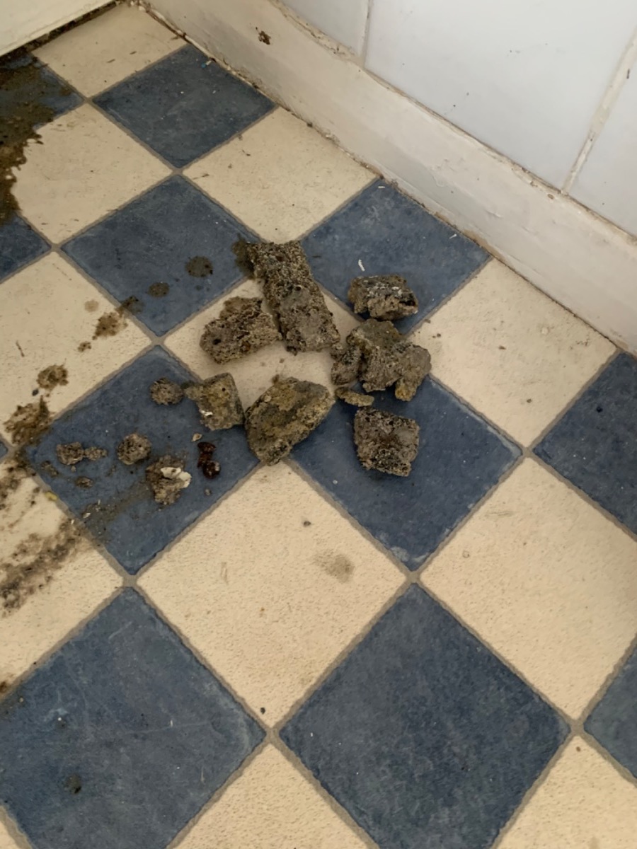 Plumber: Image 1
