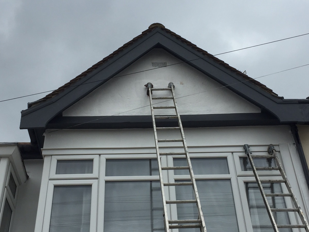 Painter and Decorator: Image 17