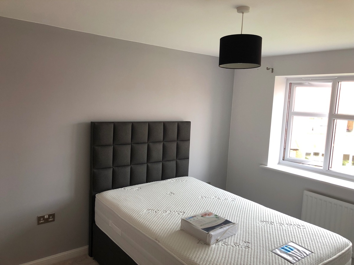 Painter and Decorator: Image 1