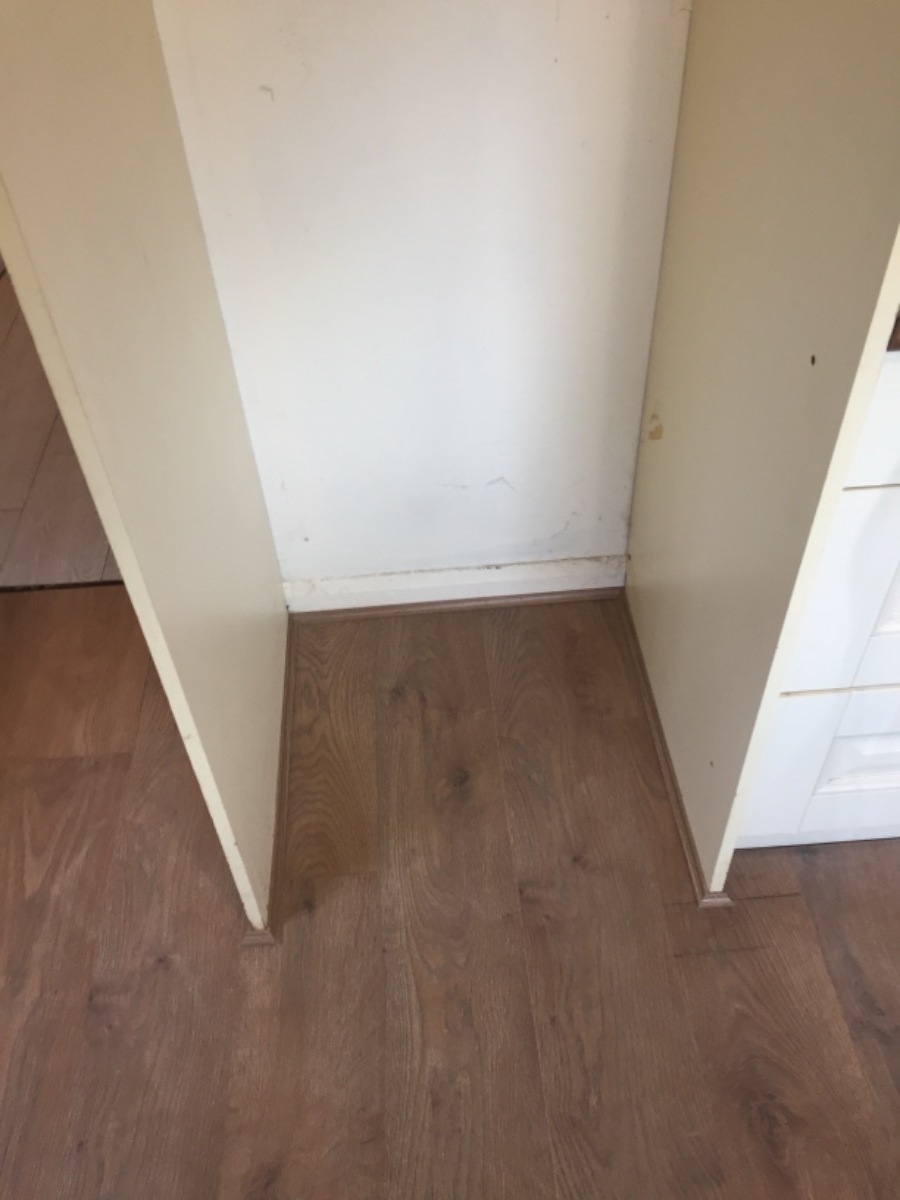 Painter and Decorator: Image 4