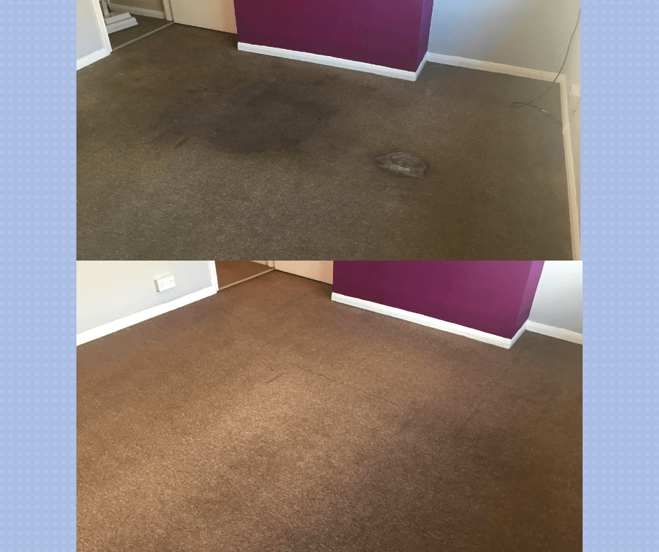 Company: Image 2 – Carpet Cleaner Sheerness - Aura Carpet Cleaning