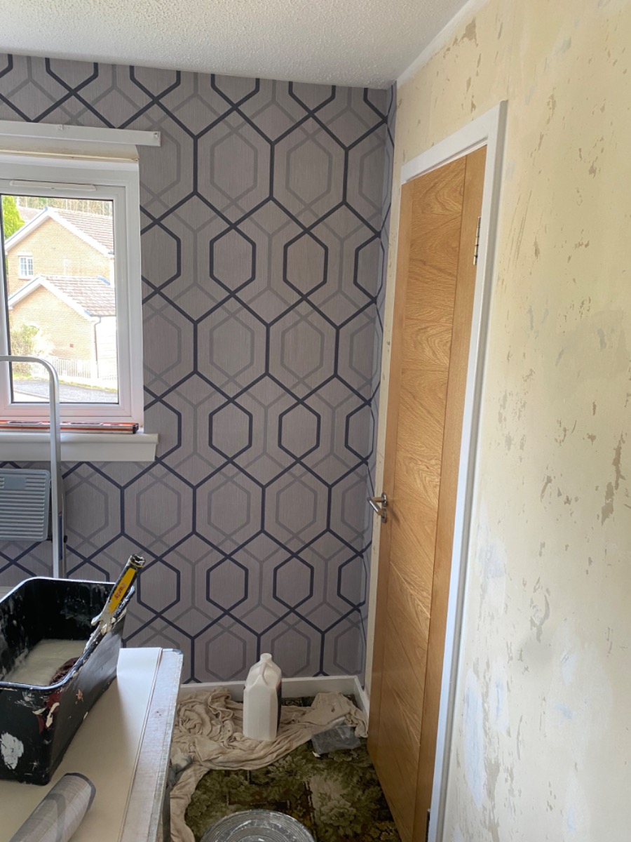 Painter and Decorator: Image 6