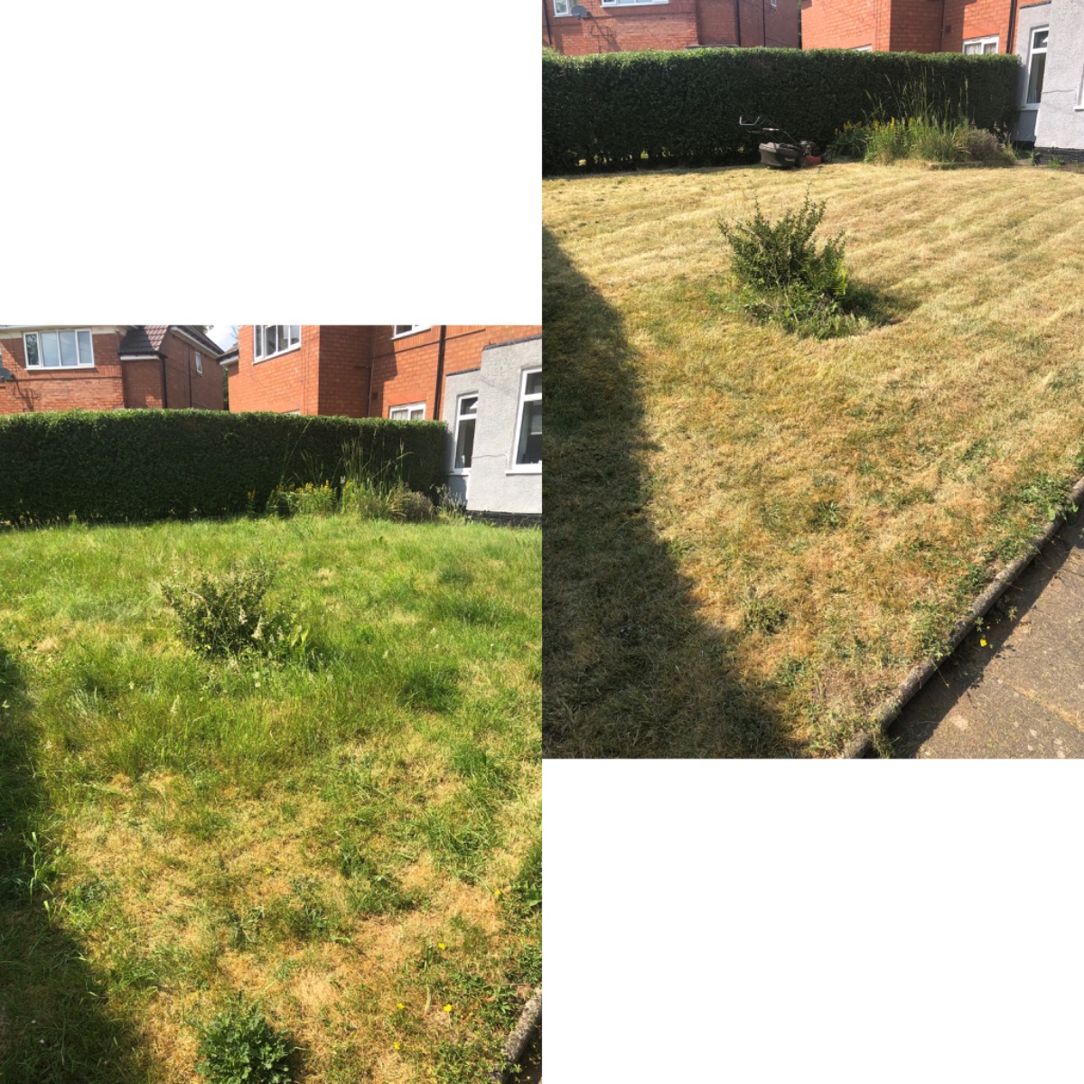 Gardener: Image 17