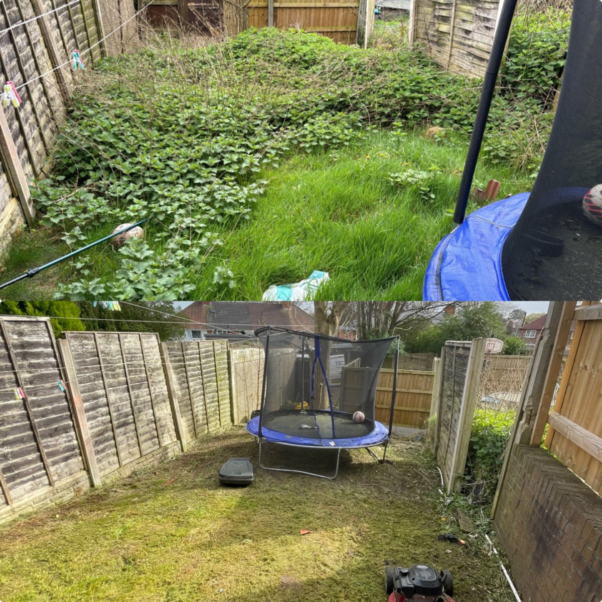 Gardener: Image 9