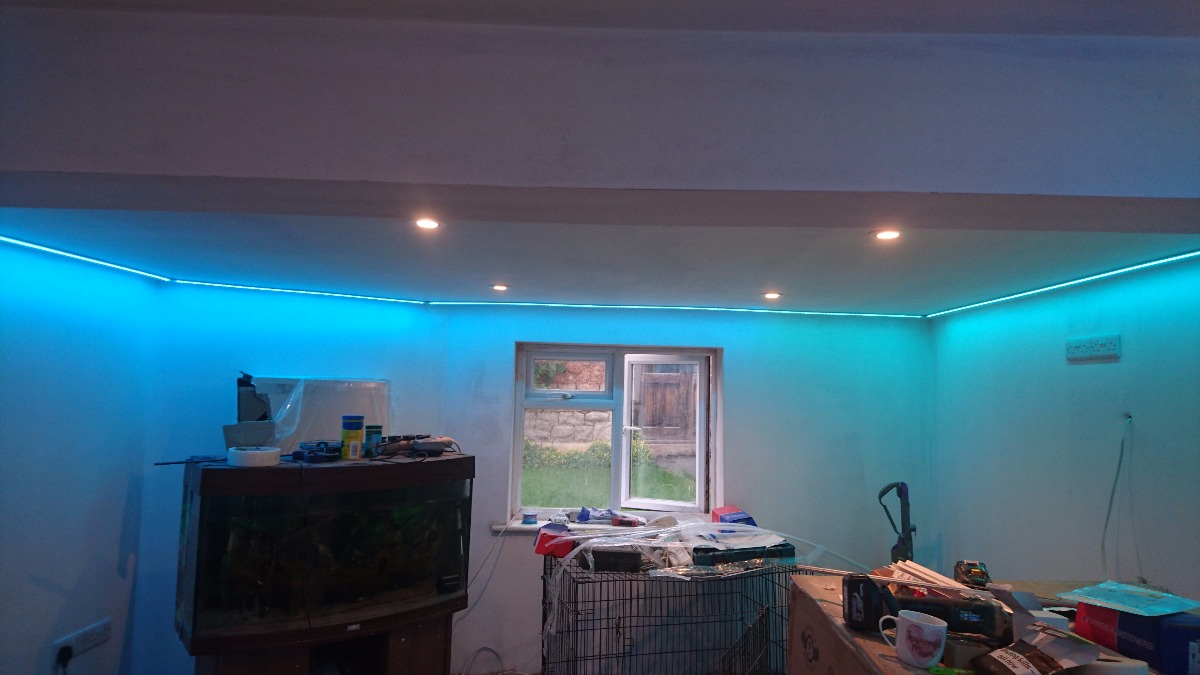 Builder: Image 5