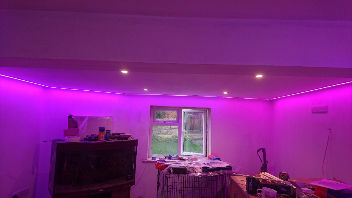 Builder: Image 4
