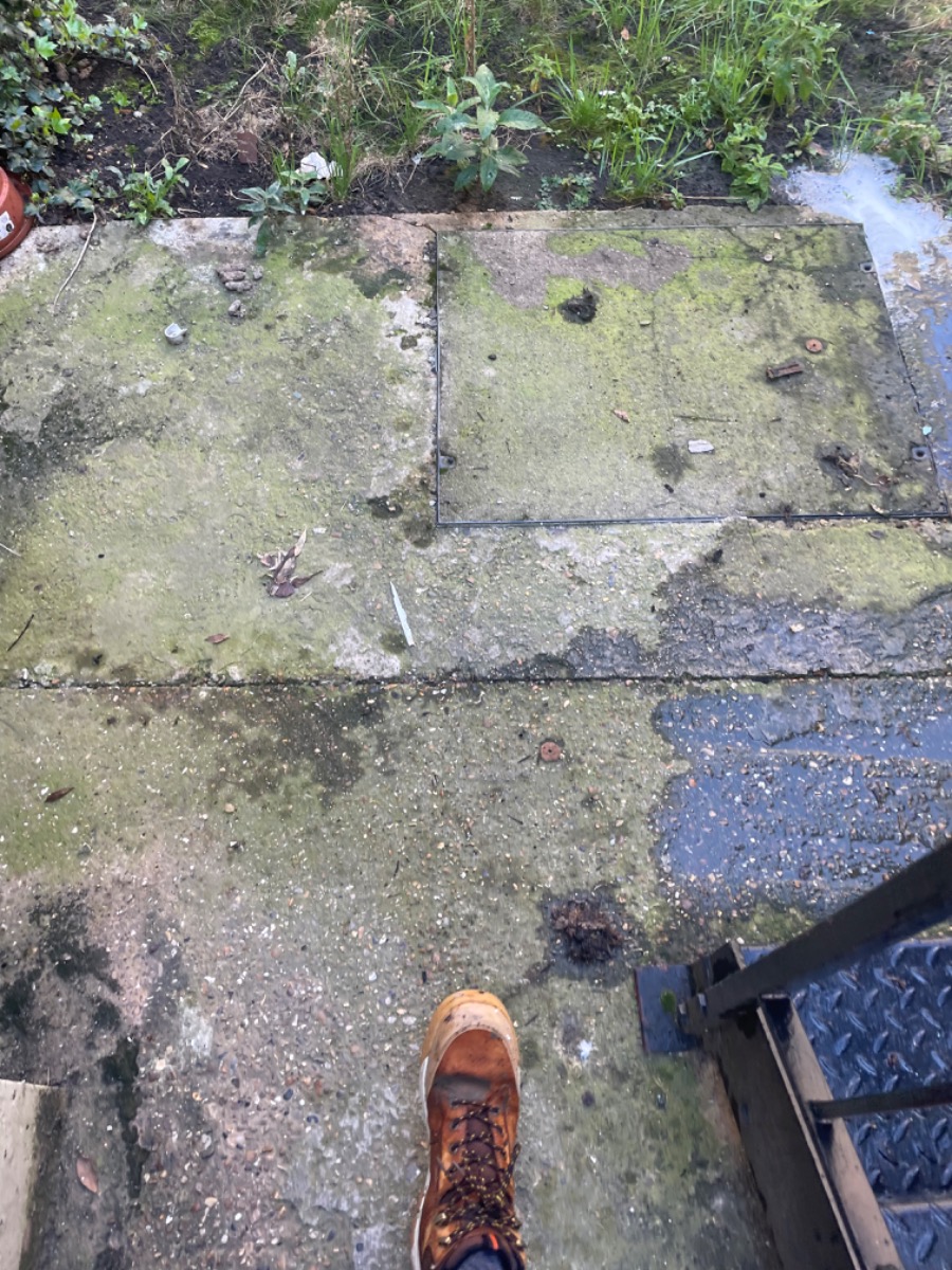 Gardener: Image 16