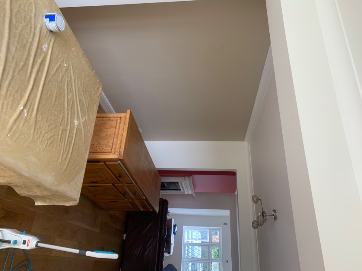 Painter and Decorator: Image 1