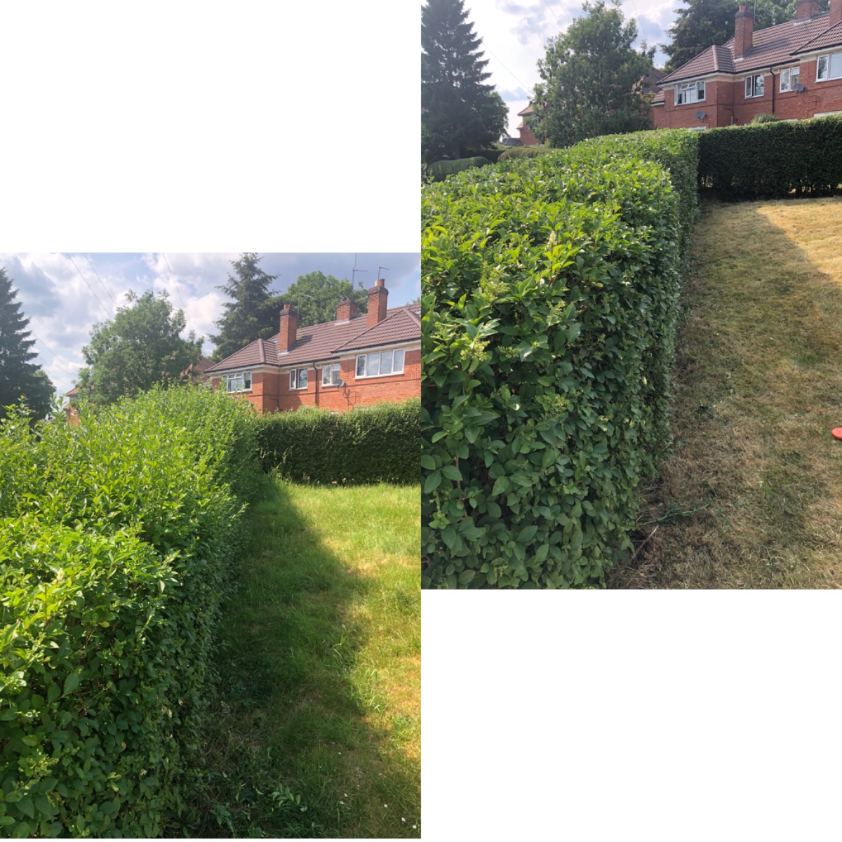 Gardener: Image 15