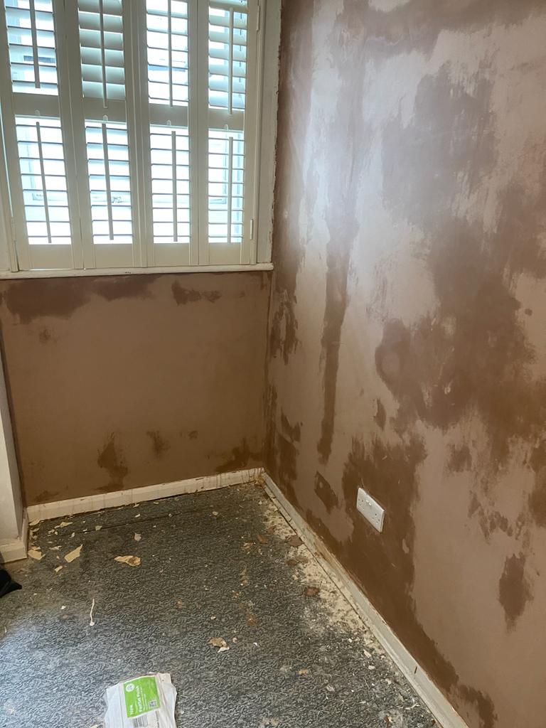 Plasterer: Image 268