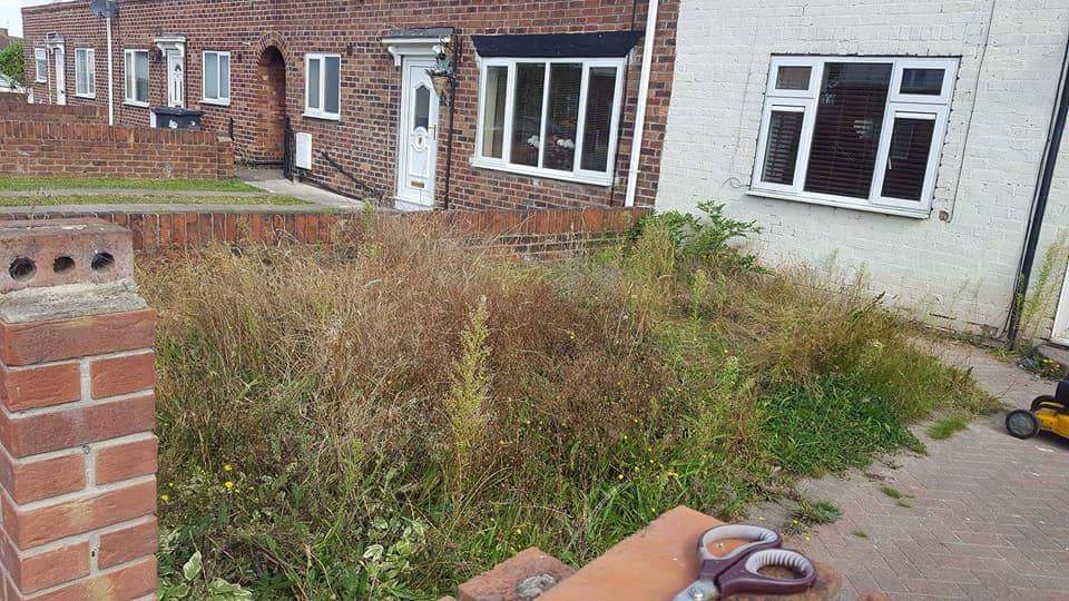 Gardener: Image 9