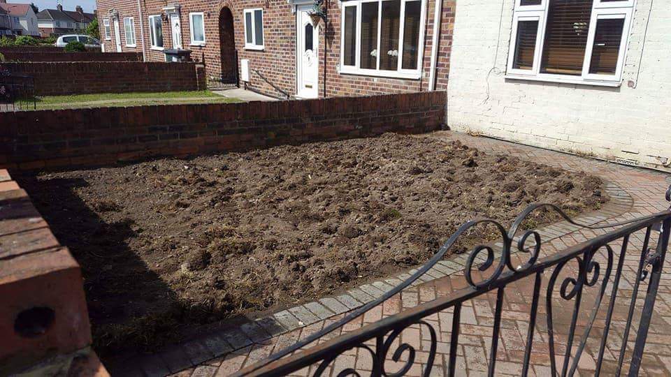 Gardener: Image 10