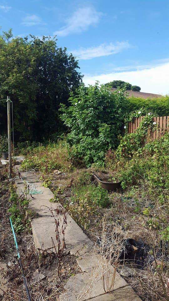Gardener: Image 7