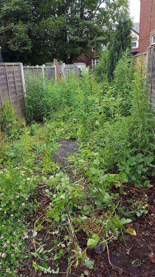 Gardener: Image 5