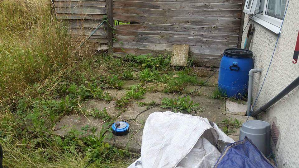 Gardener: Image 12