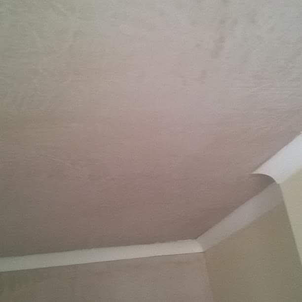 Plasterer: Image 13
