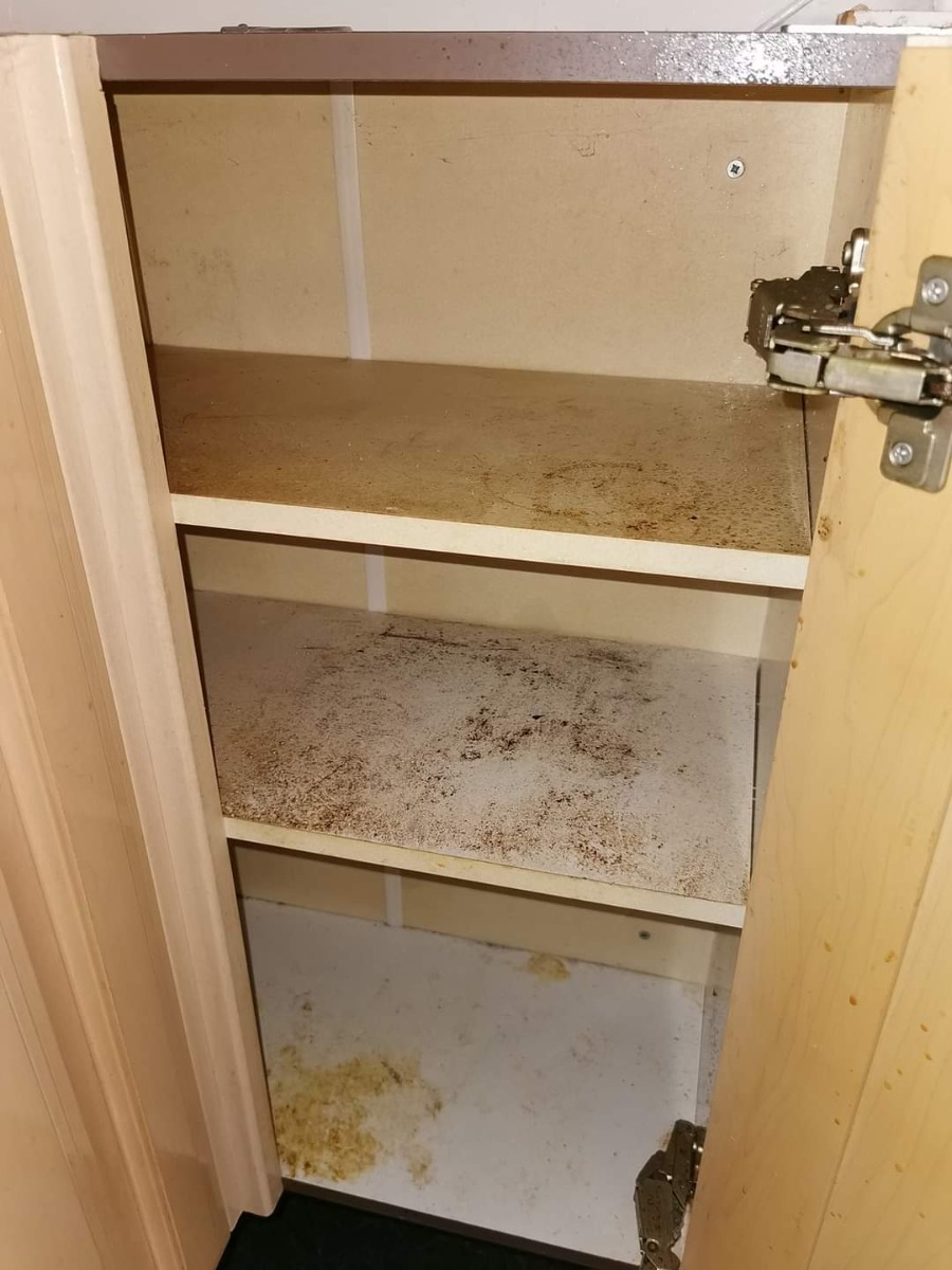 Cleaner: Image 1