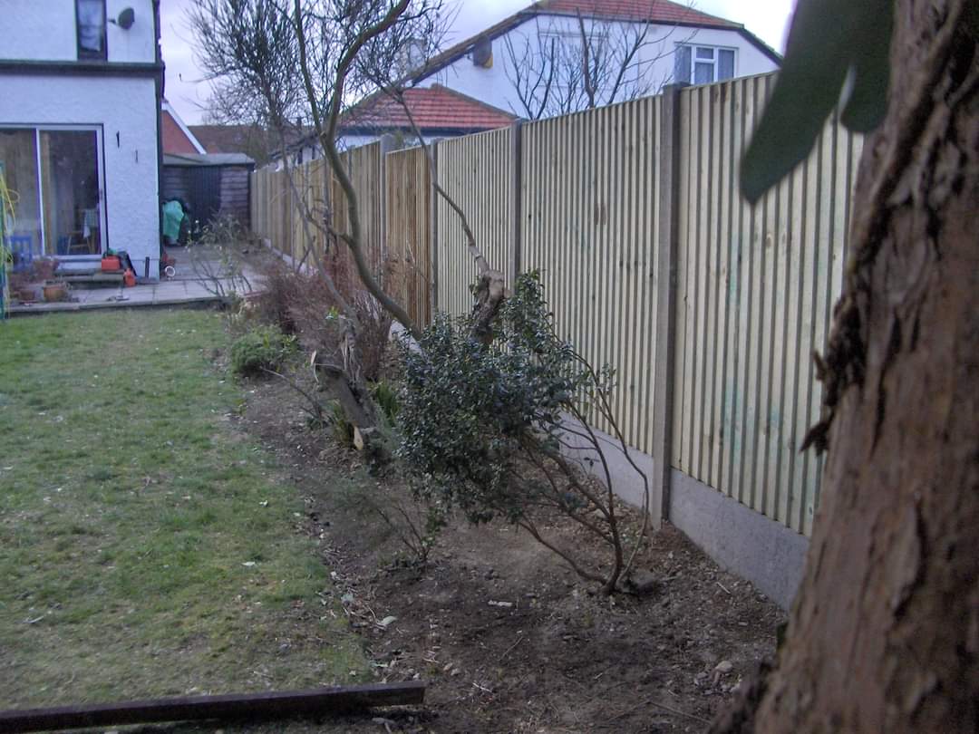 Gardener: Image 5