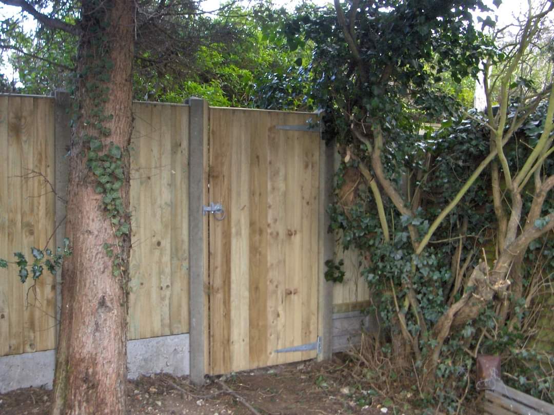 Gardener: Image 2