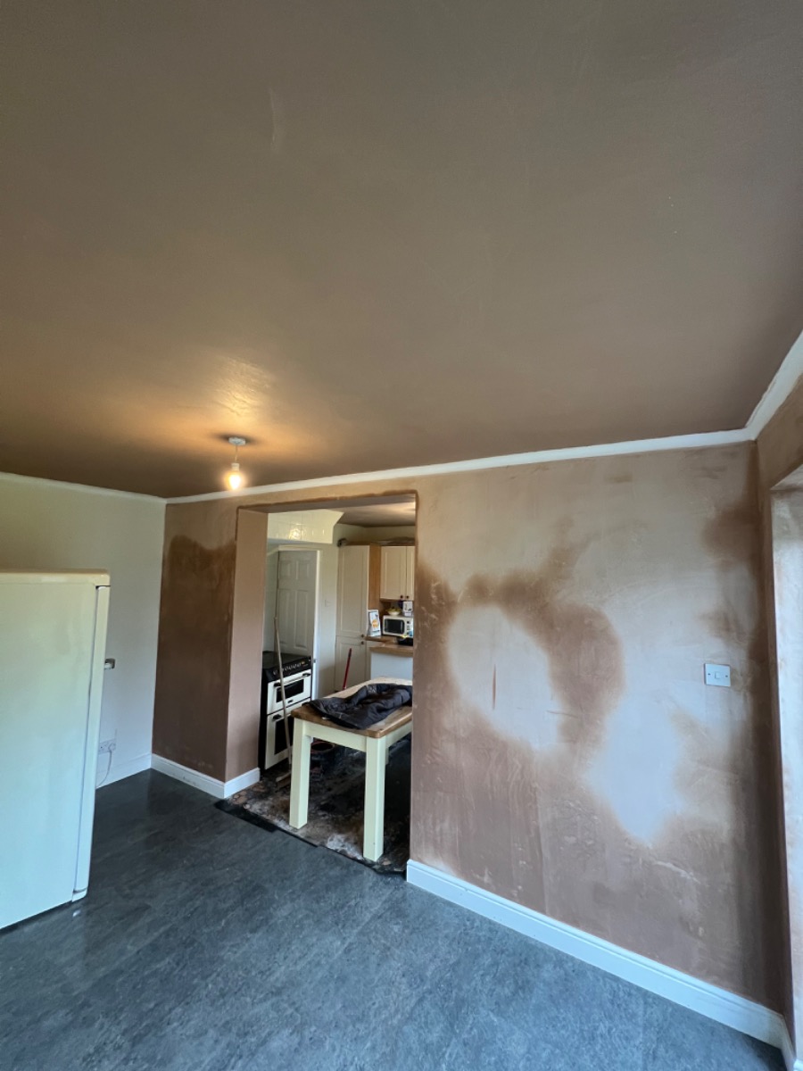 Plasterer: Image 281