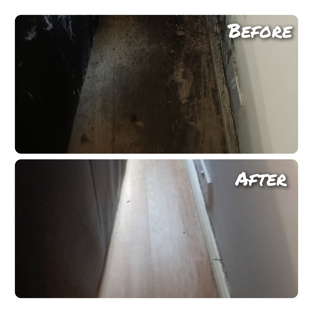 Cleaner: Image 11