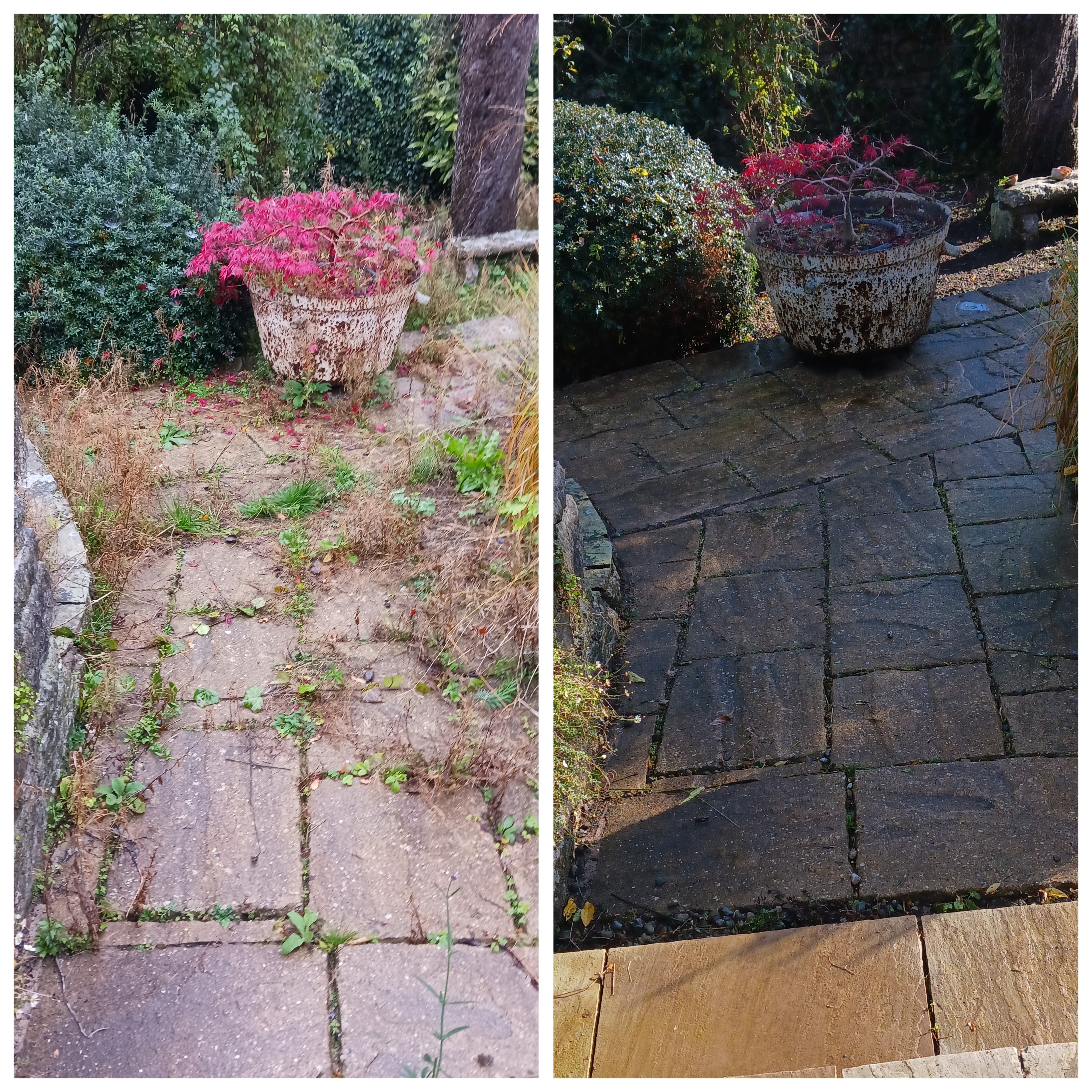 Gardener: Image 6