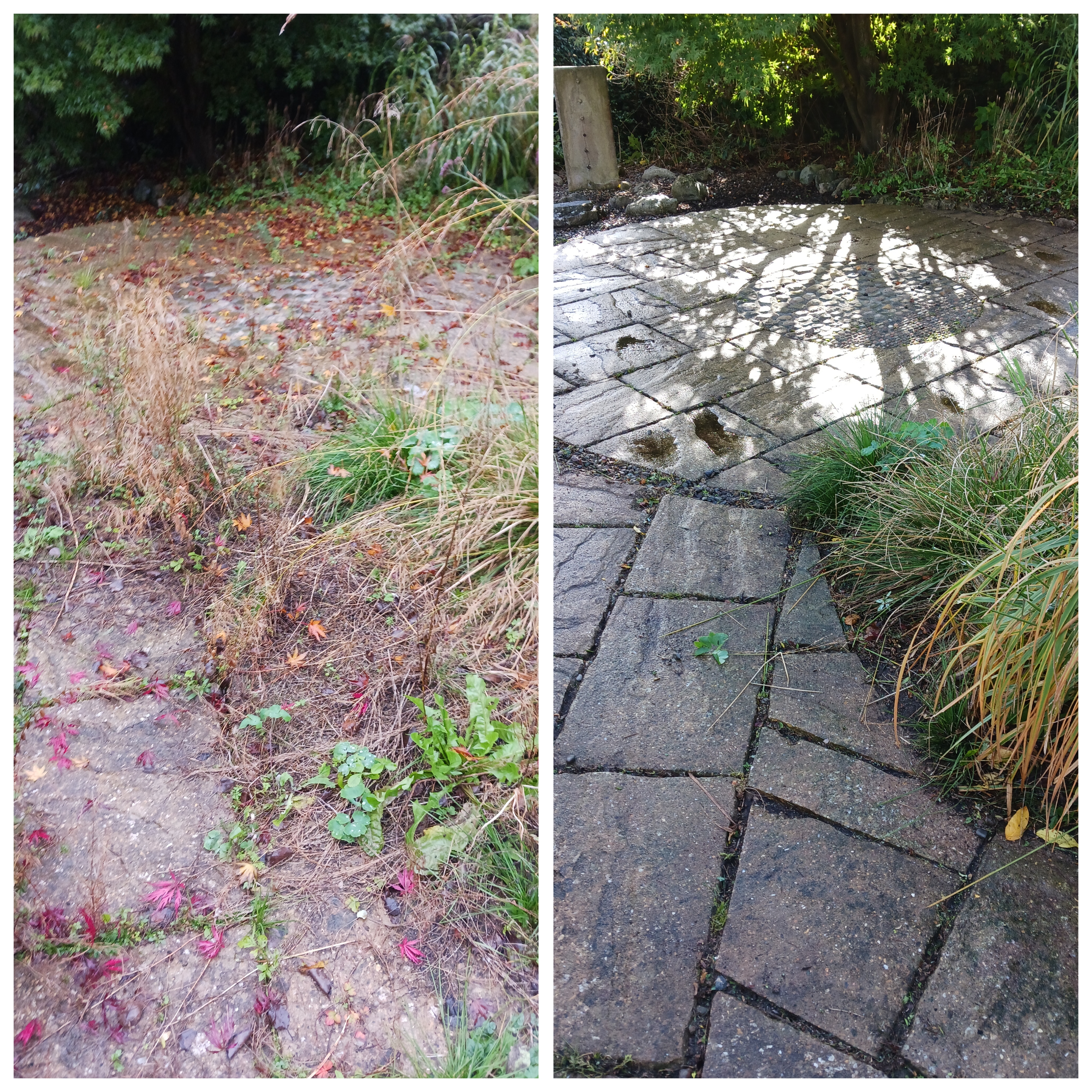 Gardener: Image 2