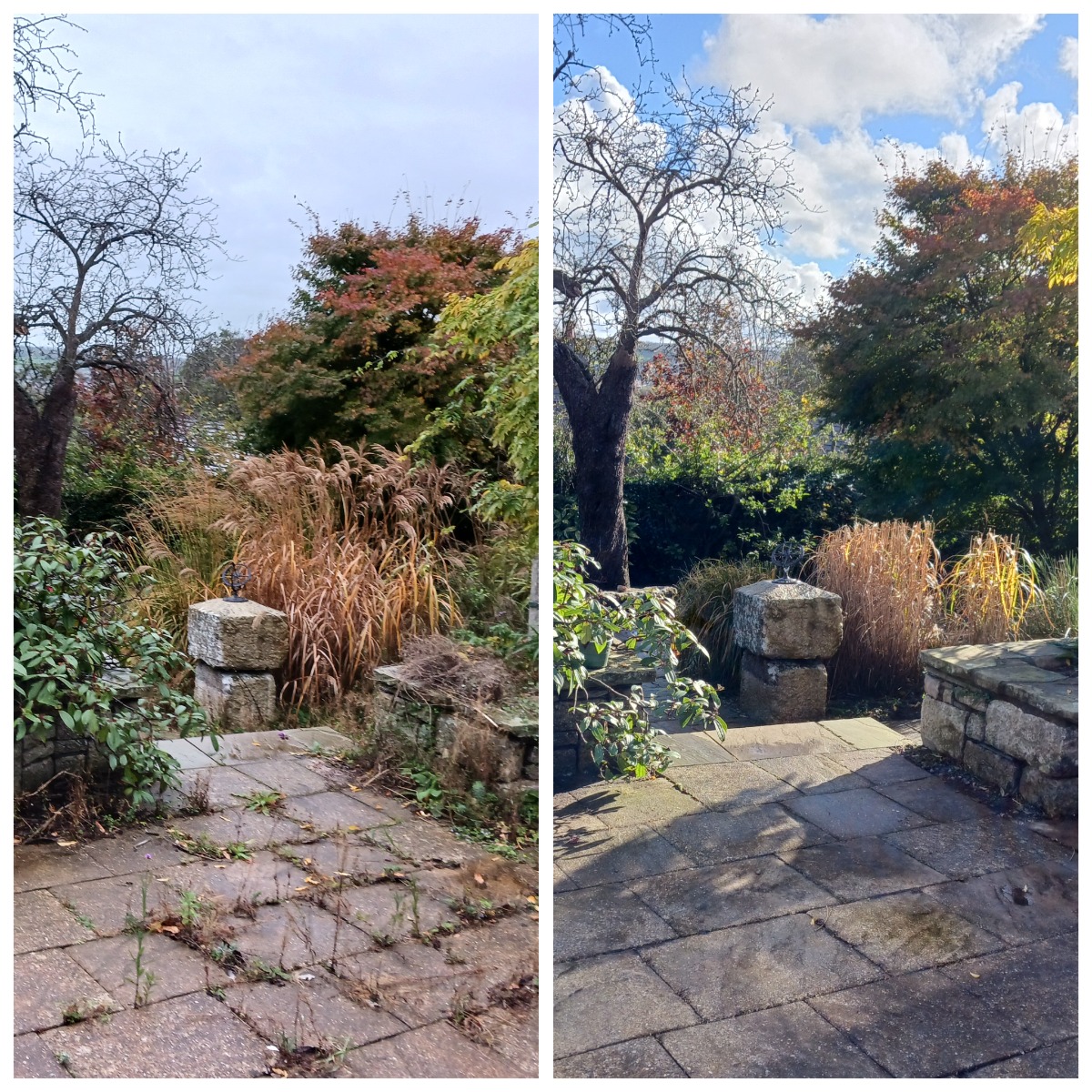 Gardener: Image 1