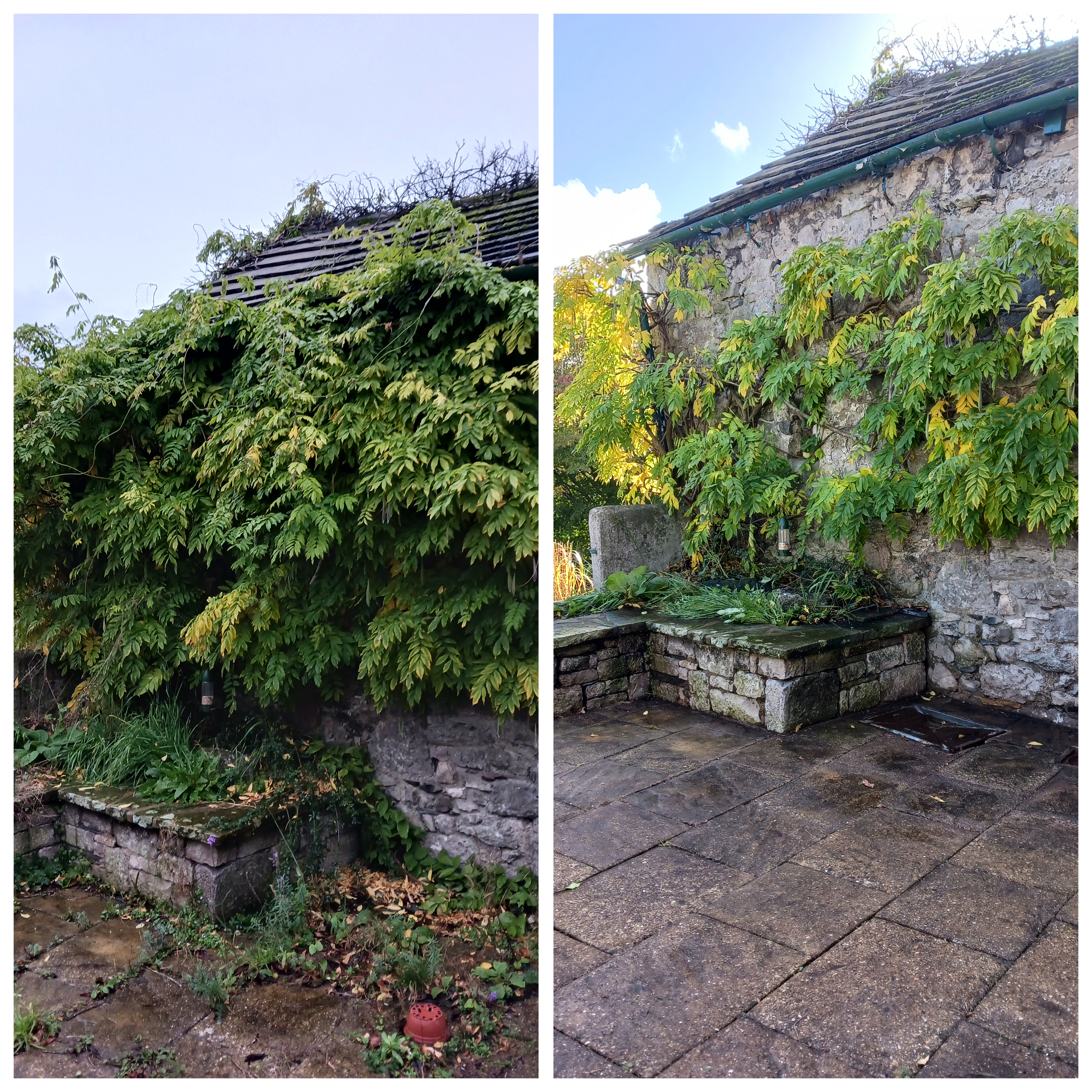 Gardener: Image 4