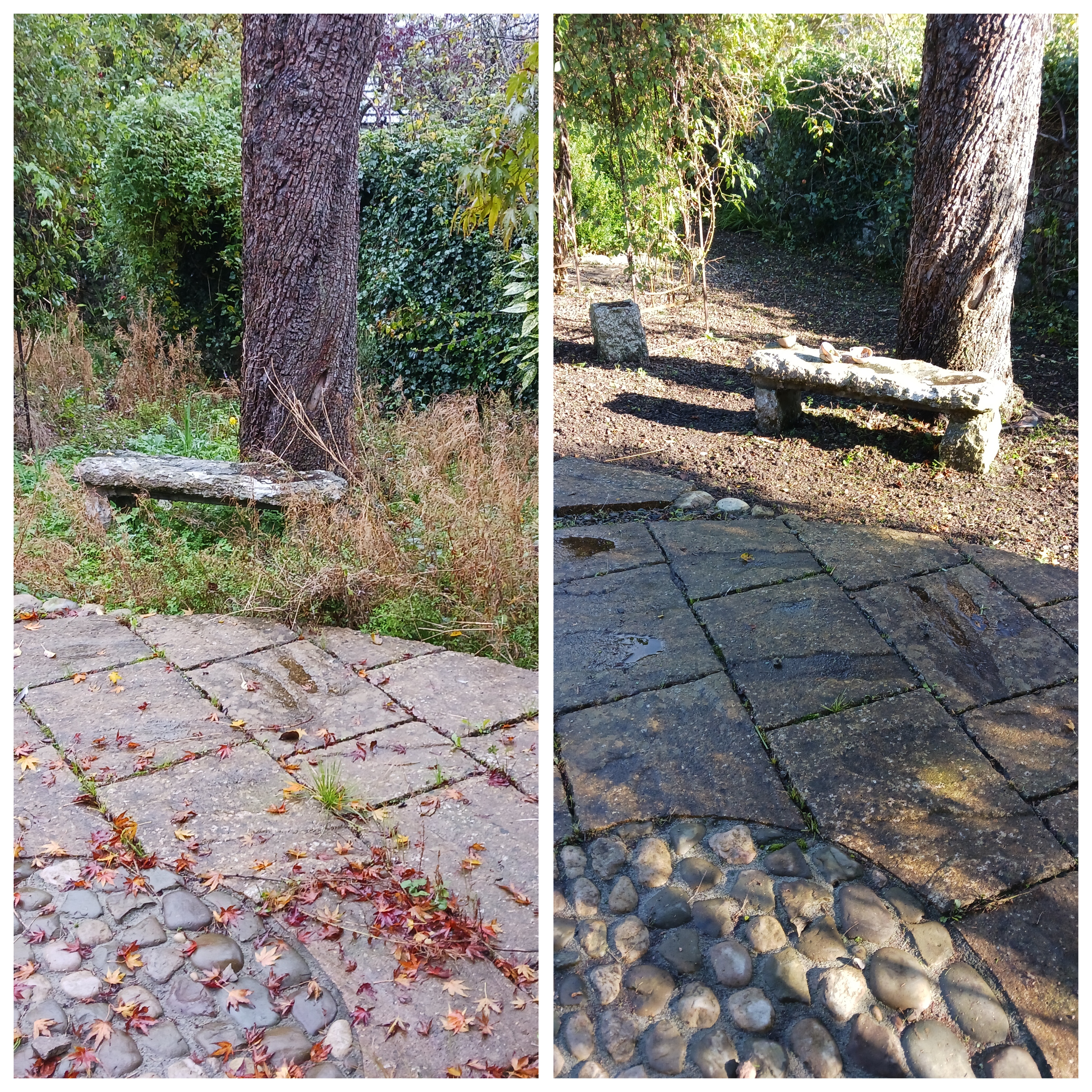 Gardener: Image 8
