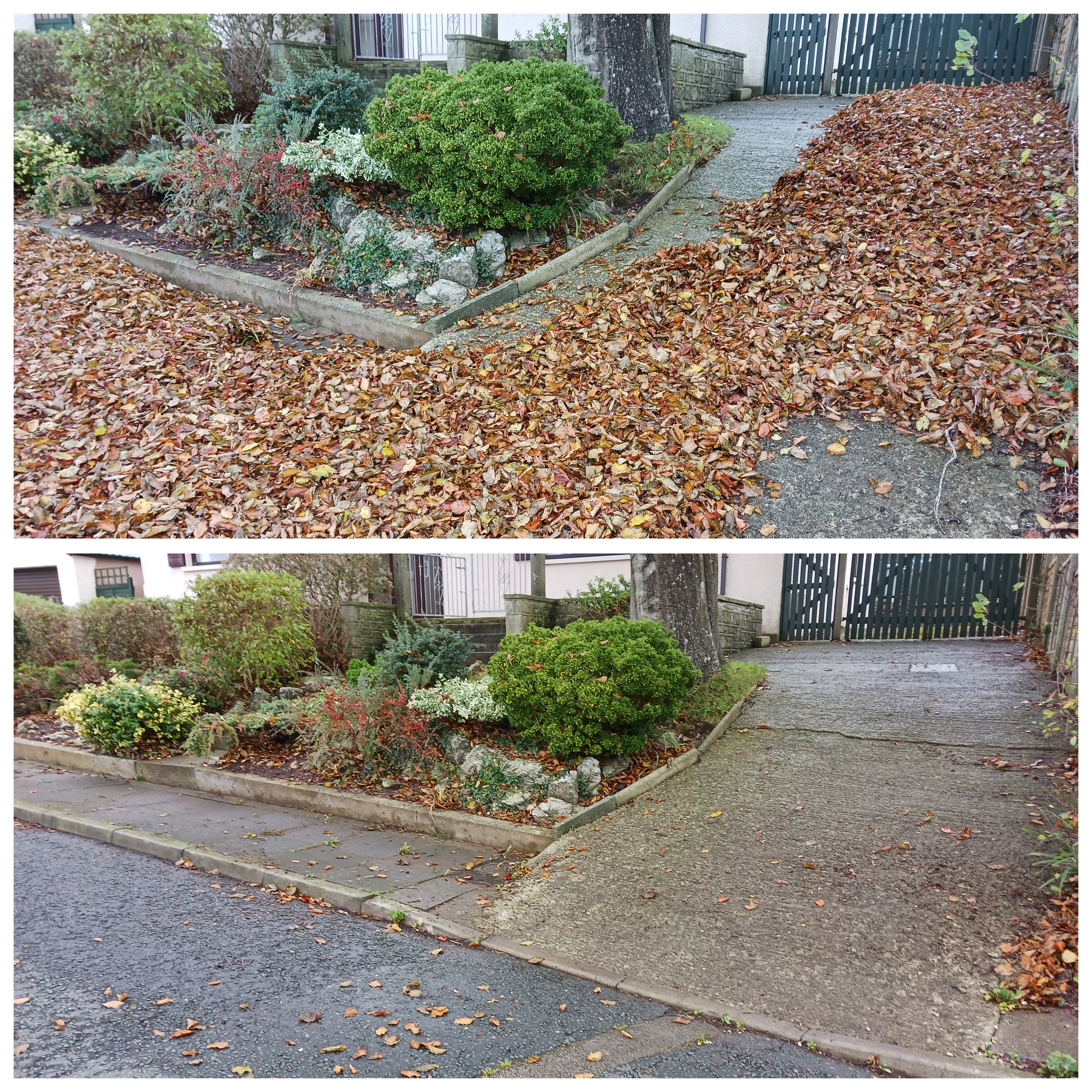 Gardener: Image 7