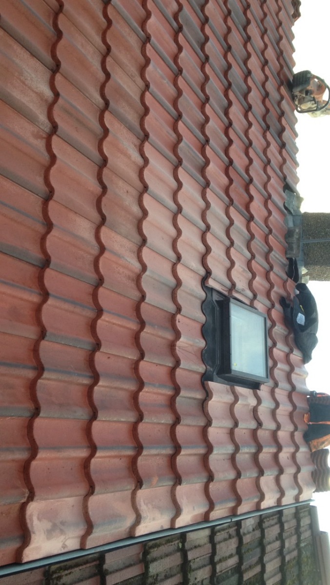 Builder: Image 7